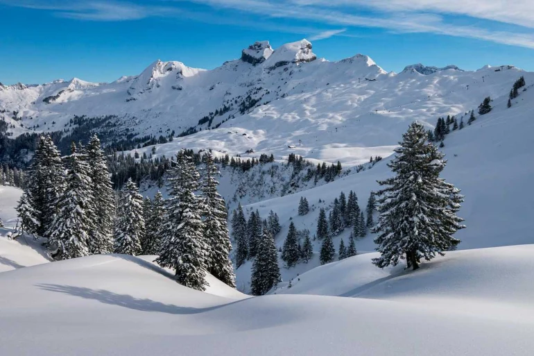 Où faire du ski de fond en montagne ?
