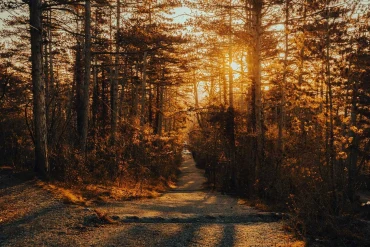 Où trouver les chemins de randonnée en montagne ?
