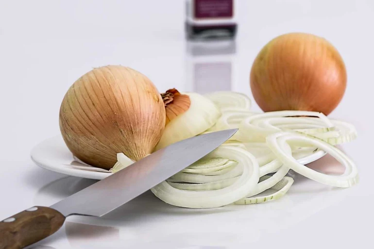 Cuisine végétarienne inspirée des montagnes : recettes sans viande et pleines de saveurs