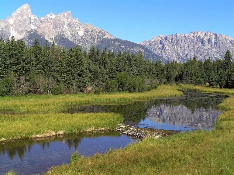 Étude de cas juridique sur l’accident à buck mountain dans le grand teton national park