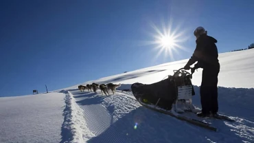 La meilleure aventure hivernale : essayez le traîneau sur neige !