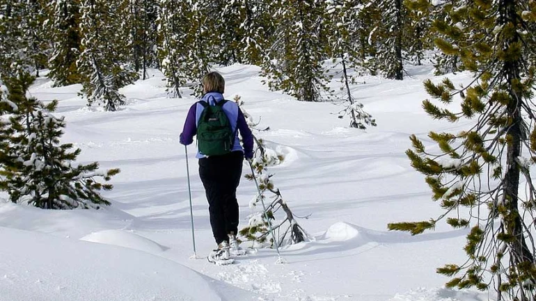 Guide complet pour bien choisir ses raquettes de neige