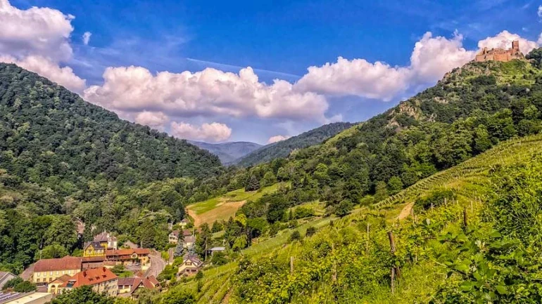 Et si vous passiez vos vacances dans les Vosges ?