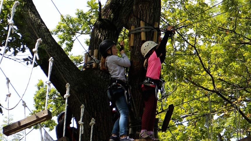 Présentation générale de l'accrobranche