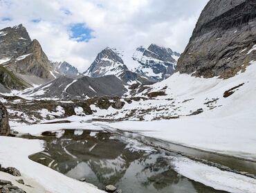 Découverte de la faune et de la flore : randonnées naturalistes en montagne