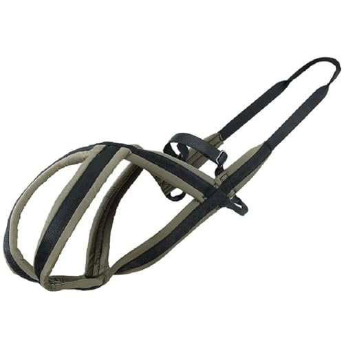 Harnais pour chien de traîneau avec laisse de marche pour ch