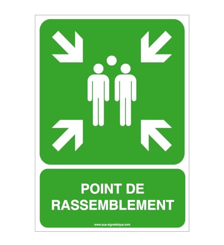 AUA SIGNALETIQUE - Panneau ISO 7010 Point de rassemblement E