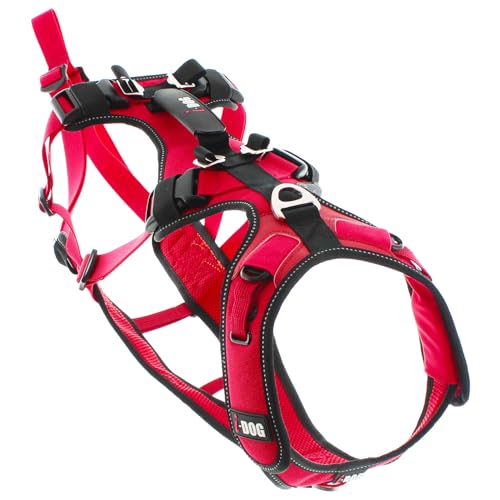 Harnais pour Chien Confort Trek I-Dog (Marque Française), ca