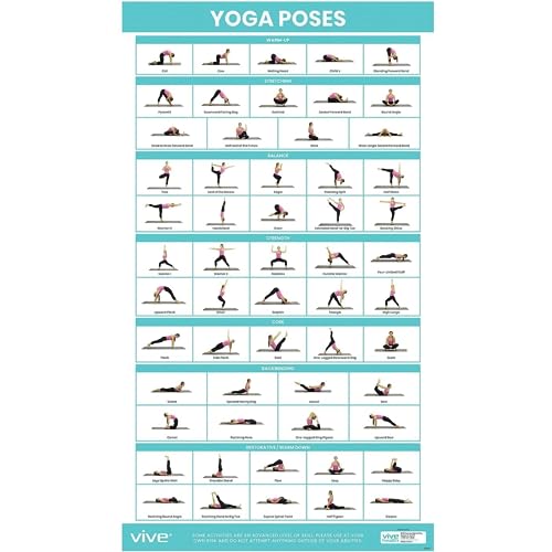 Vive Poster de yoga - Poses pour débutants et experts - Ense