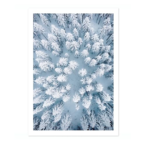 Poster de sommets darbres enneigés, impression photographiqu