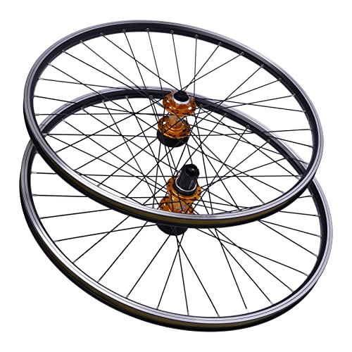 Roues de vélo de montagne de 73,7 cm, double disque à six tr