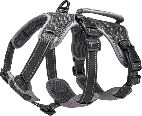 BELPRO Harnais de Soutien Multi-Usage pour Chien, Anti-Fuite