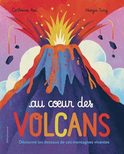 Au coeur des volcans: Découvre les dessous de ces montagnes
