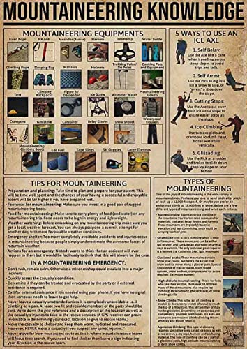 rayprint Plaque métallique décorative sur le thème de lalpin